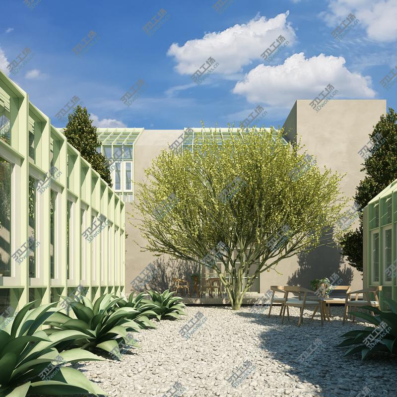 images/goods_img/2021040162/Desert Museum Tree model/1.jpg